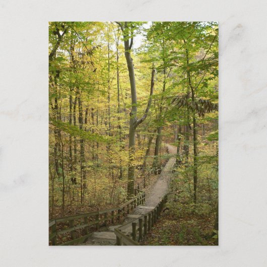 Straße weniger befahrene Postkarte (Vorderseite)