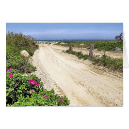 Straße zum Strand von Plymouth