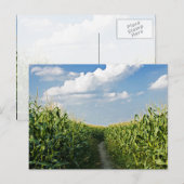 Straße zwischen Maisfeld Postkarte (Vorne/Hinten)
