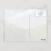 Straße zwischen Maisfeld Postkarte (Rückseite)