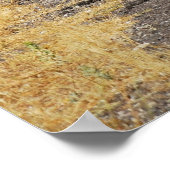 Straßen Kappadokiens Poster (Ecke)