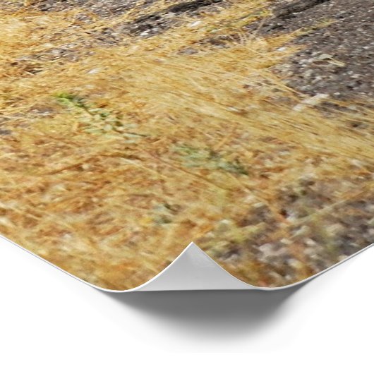 Straßen Kappadokiens Poster (Ecke)