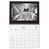 Straßen-Katzen-Fotografie-Kalender 2014 Kalender (Mär 2027)