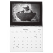 Straßen-Katzen-Fotografie-Kalender 2014 Kalender (Jan 2027)