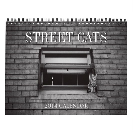 Straßen-Katzen-Fotografie-Kalender 2014 Kalender (Titelbild)