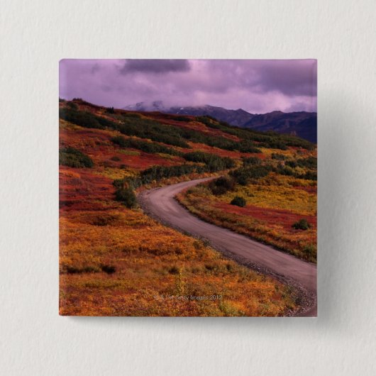 Straßen-Wicklung durch Hügel in Denali Button (Vorderseite)