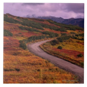 Straßen-Wicklung durch Hügel in Denali Fliese