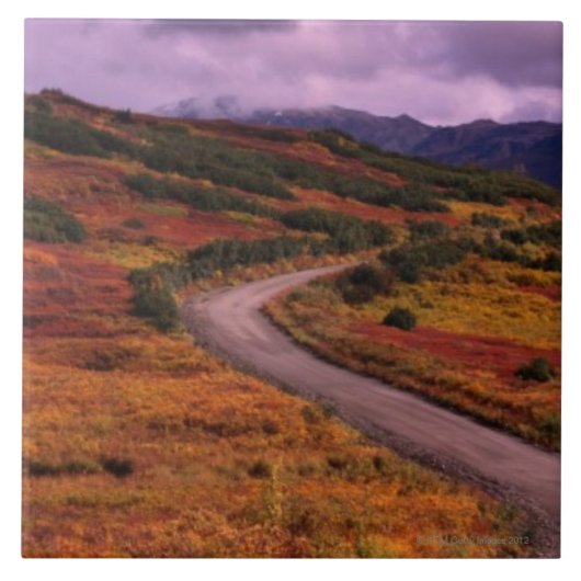 Straßen-Wicklung durch Hügel in Denali Fliese (Vorderseite)