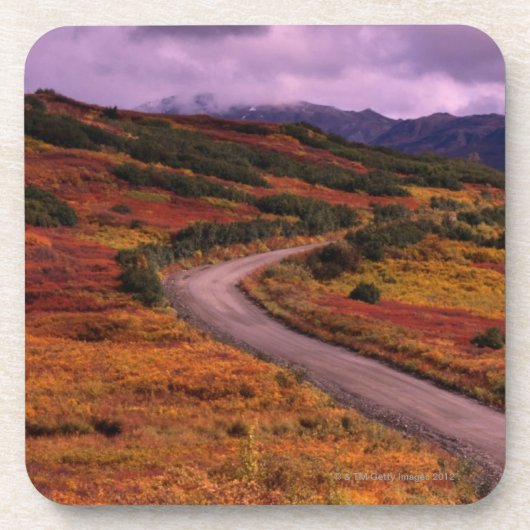 Straßen-Wicklung durch Hügel in Denali Getränkeuntersetzer (Vorderseite)