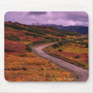 Straßen-Wicklung durch Hügel in Denali Mousepad