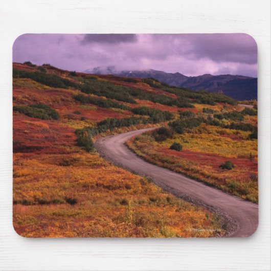 Straßen-Wicklung durch Hügel in Denali Mousepad (Vorne)