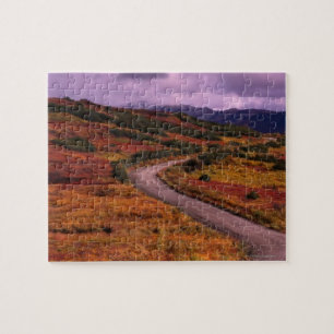 Straßen-Wicklung durch Hügel in Denali Puzzle