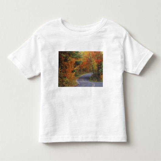 Straßenbahn Herbstbäume im Itasca Staat Park Kleinkind T-shirt (Vorderseite)