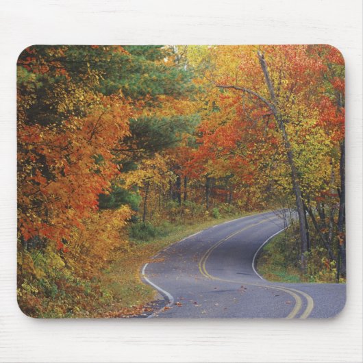 Straßenbahn Herbstbäume im Itasca Staat Park Mousepad (Vorne)