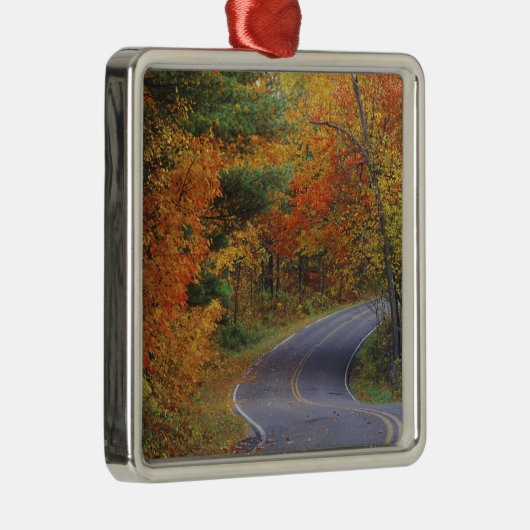 Straßenbahn Herbstbäume im Itasca Staat Park Silbernes Ornament (Rechts)