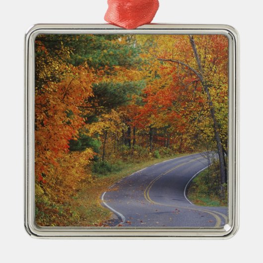 Straßenbahn Herbstbäume im Itasca Staat Park Silbernes Ornament (Vorne)