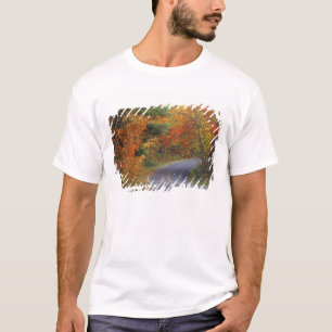 Straßenbahn Herbstbäume im Itasca Staat Park T-Shirt