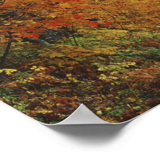 Straßenbahn Herbstbäume Richtung Itasca Staat Park Poster (Ecke)