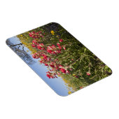 Straßenbahnlinien in Texas, Frühjahr Magnet (Rechte Seite)