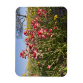 Straßenbahnlinien in Texas, Frühjahr Magnet (Vertikal)