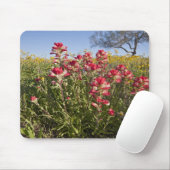 Straßenbahnlinien in Texas, Frühjahr Mousepad (Mit Mouse)