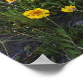 Straßenbahnlinien in Texas, Frühjahr Poster (Ecke)