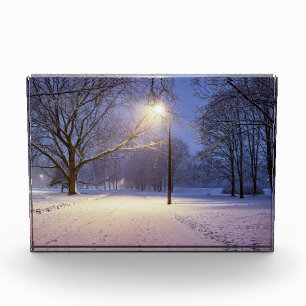 Straßenbeleuchtung und Schneebäume Fotoblock