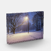 Straßenbeleuchtung und Schneebäume Fotoblock (Links)