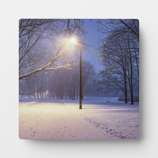 Straßenbeleuchtung und Schneebäume Fotoplatte (Vorderseite)
