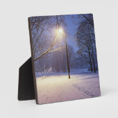 Straßenbeleuchtung und Schneebäume Fotoplatte (Vorderseite)