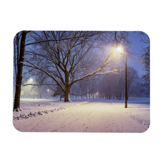 Straßenbeleuchtung und Schneebäume Magnet (Horizontal)