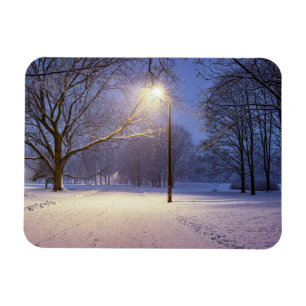 Straßenbeleuchtung und Schneebäume Magnet