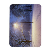 Straßenbeleuchtung und Schneebäume Magnet (Vertikal)