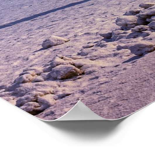 Straßenbeleuchtung und Schneebäume Poster (Ecke)