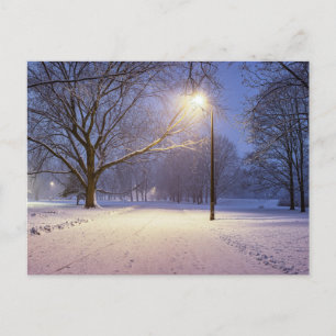 Straßenbeleuchtung und Schneebäume Postkarte