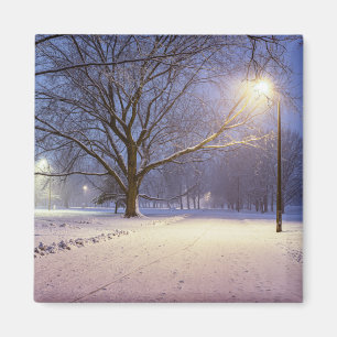 Straßenbeleuchtung und Schneedecke Magnet
