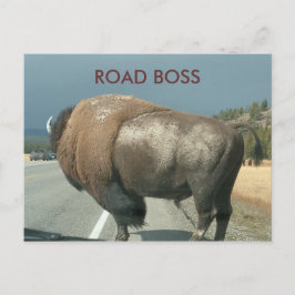 STRASSENBOSS-Postkarte Postkarte
