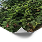 Straßenende, Lincoln City, Oregon Poster (Ecke)