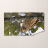 Straßenfalken, Vogelfotografie Badhandtuch Set (Handtuch)