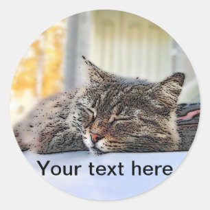 Straßenkatze, die im Auto schläft Runder Aufkleber