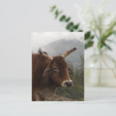 Straßenkühe Postkarte (Stehend Vorderseite)