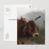 Straßenkühe Postkarte (Vorne/Hinten)