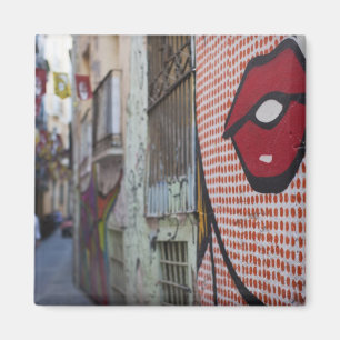Straßenkunst in der Calle de la Libertad Magnet