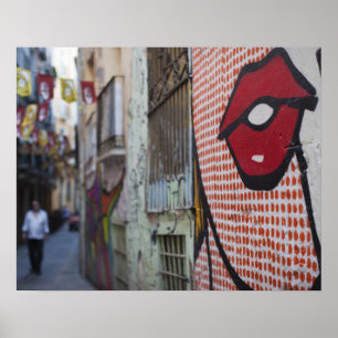 Straßenkunst in der Calle de la Libertad Poster