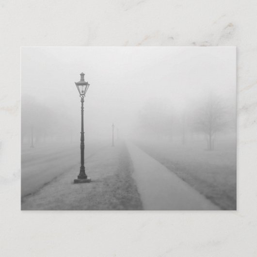 Straßenlampen im Nebel Postkarte (Vorderseite)
