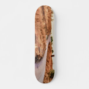 Straßenlandschaft verrückter, benutzerdefinierter  skateboard