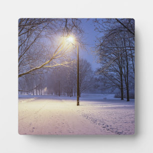 Straßenlaternen und mit Schnee bedeckte Bäume Fotoplatte