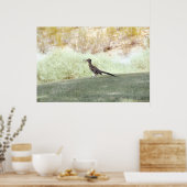 Straßenläufervogel in der Wüstenposter Poster (Küche)