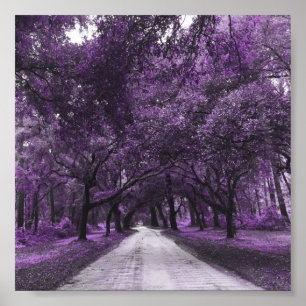 Straßenplakat Poster