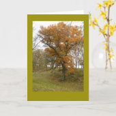 Straßenrand-Eiche im Herbst auf leerer Karte (Gelbe Blume)